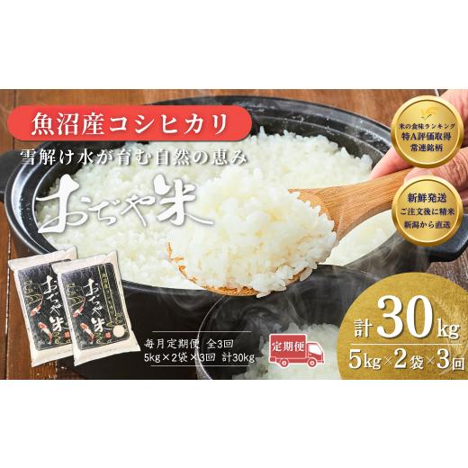 ふるさと納税 米 コシヒカリ 新潟県 小千谷市 3か月定期便 コシヒカリ 令和7年産 新潟県 魚沼産コシヒカリ「おぢや米」合計30kg(5kg×2袋×毎月お届け全3回) …