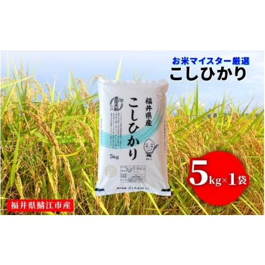 ふるさと納税 米 コシヒカリ 福井県 鯖江市 令和7年産 コシヒカリ 5kg(5kg × 1袋)×1回 B-02035 / お取り寄せ お米 精米 白米 小分け 便利 弁当 ごはん ご…