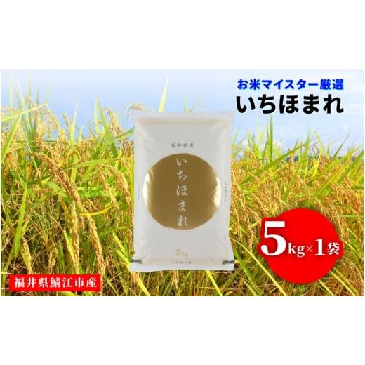 ふるさと納税 米 福井県 鯖江市 令和7年産 いちほまれ 5kg(5kg × 1袋)×1回 B-02034 / お米 精米 白米 小分け 便利 ごはん コメ ブランド米 人気 品種 特A…