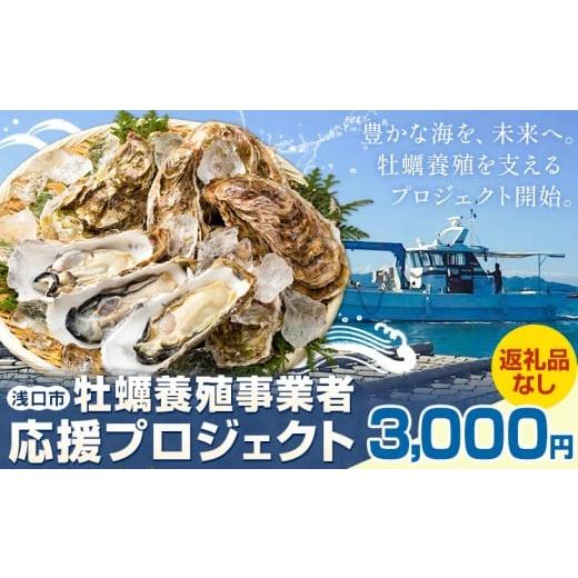 ふるさと納税 地域のお礼の品 岡山県 浅口市 牡蠣 事業者 応援 プロジェクト 岡山県 浅口市 応援寄附 3000円 返礼品なし 3000円
