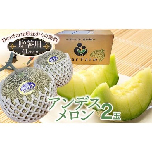 ふるさと納税 メロン 山形県 鶴岡市 令和8年産先行予約 DearFarm砂丘からの贈物 贈答用アンデスメロン 2玉(4Lサイズ) 山形県鶴岡市 K-823