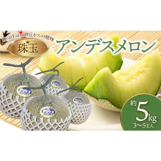 ふるさと納税 メロン 山形県 鶴岡市 令和8年産先行予約 DearFarm砂丘からの贈物 珠玉アンデスメロン 約5kg(3〜5玉)山形県鶴岡市 K-836