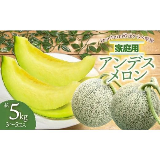 ふるさと納税 メロン 山形県 鶴岡市 令和8年産先行予約 DearFarm砂丘からの贈物 家庭用アンデスメロン 約5kg(3〜5玉)山形県鶴岡市 K-832