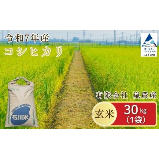 ふるさと納税 玄米 石川県 小松市 令和7年産 コシヒカリ 玄米 30kg 米 コメ お米 げんまい 石川県産 小松市産 有限会社嵐農産