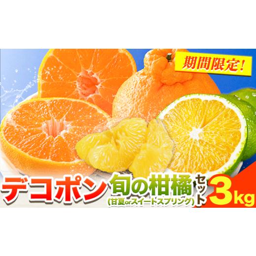 ふるさと納税 みかん・柑橘類 熊本県 津奈木町 デコポン 2kg 旬の柑橘 1kg 詰め合わせ セット 合計 3kg [2月中旬-4月上旬頃出荷]熊本県 津奈木町 デコポン …