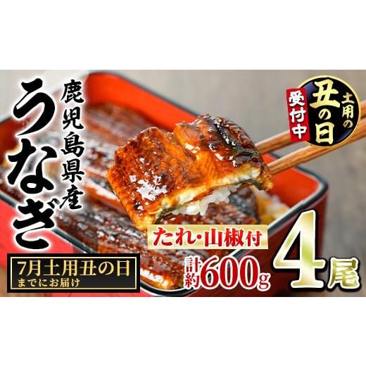 ふるさと納税 うなぎ 鹿児島県 東串良町 0264343a-2607 土用の丑の日までにお届け 東串良町のうなぎ蒲焼(無頭)(4尾・計約600g・タレ、山椒付) うなぎ 高級 ウ…