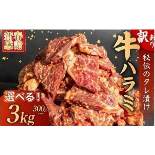 ふるさと納税 肉 高知県 須崎市 選べる 訳あり 牛ハラミ 秘伝のタレ タレ漬け 900g ( 300g × 3パック ) ハンバーグ 10個 (200gx10個) セット 四万十 ポーク …