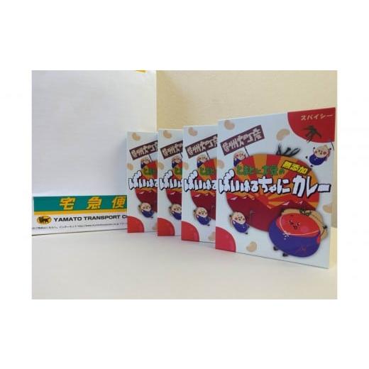 ふるさと納税 加工品等 長野県 大町市 ばいはるちゃにカレーセット(4箱)