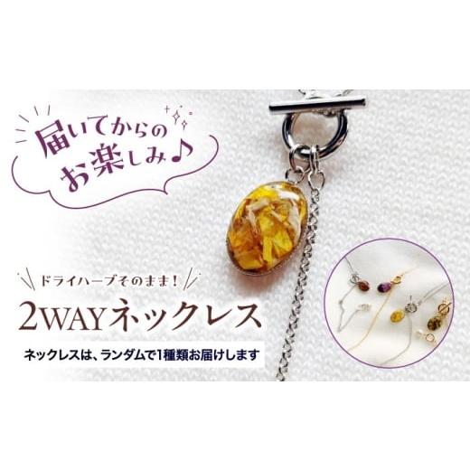 ふるさと納税 アクセサリー ネックレス 広島県 三次市 ハーブ纏うアクセサリー 2WAYネックレス ハーブおまかせ ネックレス アクセサリー チェーン ボタニカル…