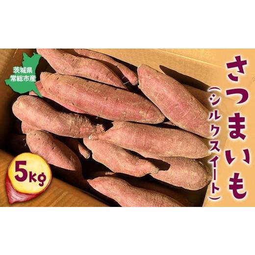 ふるさと納税 野菜類 サツマイモ 茨城県 常総市 さつまいも(シルクスイート)5kg|茨城県常総市産 さつまいも サツマイモ お芋 芋 スイーツ ポテト 有機栽培…