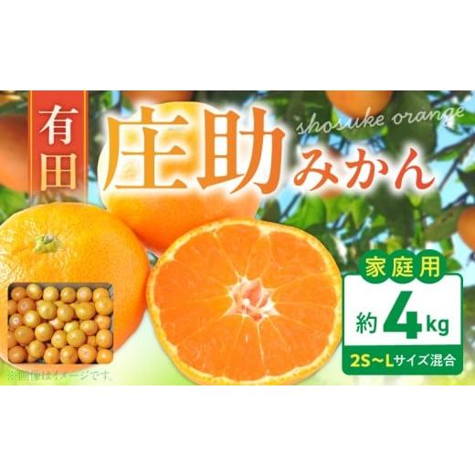 ふるさと納税 果物類 みかん 和歌山県 湯浅町 BK6011_ 2026年先行予約 庄助みかん (家庭用・サイズ混合) 4kg