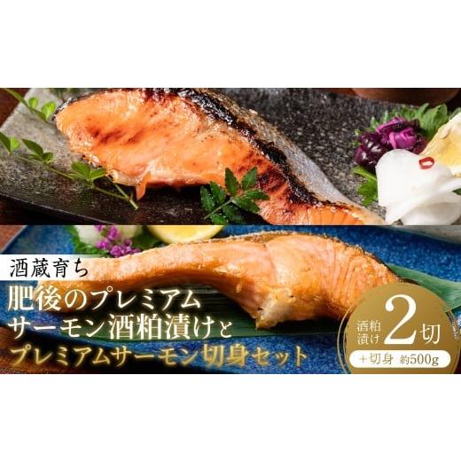 ふるさと納税 魚貝類 サーモン 熊本県 八代市 酒蔵育ち 肥後のプレミアムサーモン 酒粕漬け 2切×1パック と プレミアムサーモン切身 約500g セット サーモン…