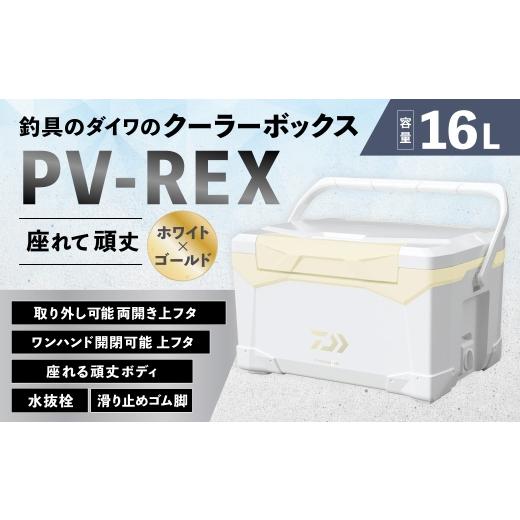 ふるさと納税 アウトドアグッズ クーラーボックス 滋賀県 湖南市 釣具のダイワのクーラーボックス PV-REX ZSS1600 ( 容量:16リットル ) クーラーボックス …