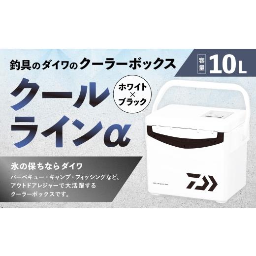 ふるさと納税 アウトドアグッズ クーラーボックス 滋賀県 湖南市 釣具のダイワのクーラーボックス クールラインα S1000X ( 容量:10リットル ) クーラーボ…