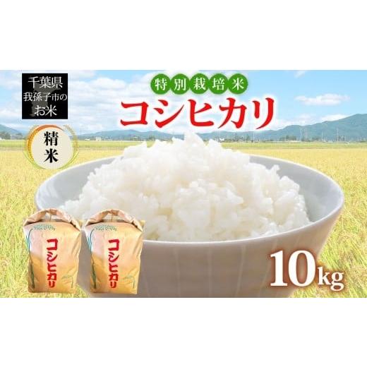 ふるさと納税 米 コシヒカリ 千葉県 我孫子市 農家直送 千葉県産 特別栽培米 こしひかり 10kg 5kg×2 精米 米 白米 ごはん お米 ライス ブランド米 ご飯 和食 …
