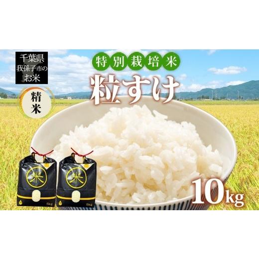 ふるさと納税 米 千葉県 我孫子市 農家直送 千葉県産 特別栽培米 粒すけ 10kg 5kg×2 精米 米 白米 ごはん お米 ライス ブランド米 ご飯 和食 お弁当 おにぎり…