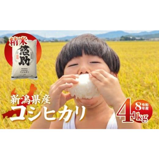 ふるさと納税 米 コシヒカリ 新潟県 新発田市 先行予約 令和8年産 コシヒカリ 4kg 特別栽培米 単品 コンテスト 入賞 コンテスト 入賞米 米 おこめ お米 ブラ…