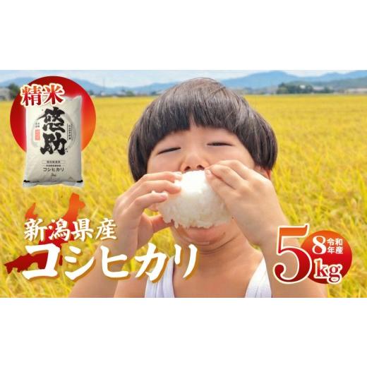 ふるさと納税 米 コシヒカリ 新潟県 新発田市 先行予約 令和8年産 コシヒカリ 5kg 特別栽培米 単品 コンテスト 入賞 コンテスト 入賞米 米 おこめ お米 ブラン…