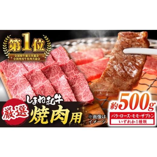 ふるさと納税 牛肉 焼肉・バーベキュー 島根県 松江市 極上厳選 受賞歴多数 しまね和牛 焼肉 計500g(250g×2P) 島根県松江市/株式会社O.R.C