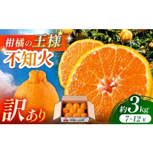 ふるさと納税 みかん・柑橘類 デコポン 熊本県 山鹿市 2026年3月下旬から発送 訳あり 柑橘の王様 ハウス栽培 不知火 デコポン 約3kg(7〜12玉) 小春農園 ZBN…