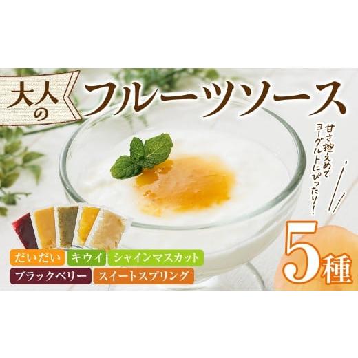 ふるさと納税 ジャム 大分県 宇佐市 フルーツソース5種(合計200g・40g×5個) フルーツ ヨーグルトソース 低糖度 ソース ヨーグルト 118400100 乙女キッチン