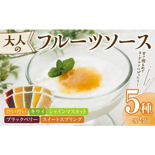 ふるさと納税 ジャム 大分県 宇佐市 フルーツソース5種×2セット(合計400g・1セット 40g×5種) フルーツ ヨーグルトソース 低糖度 ソース ヨーグルト 11840020…