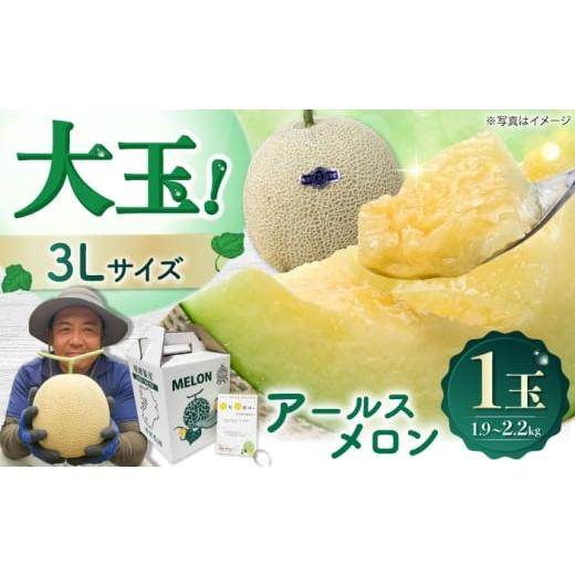 ふるさと納税 メロン メロン青肉 長崎県 - 特選温室 沖田農園のアールスメロン(3L)1玉 長崎県/沖田農園 42ALAE001 果物 フルーツ 青肉 メロン めろん 長崎…