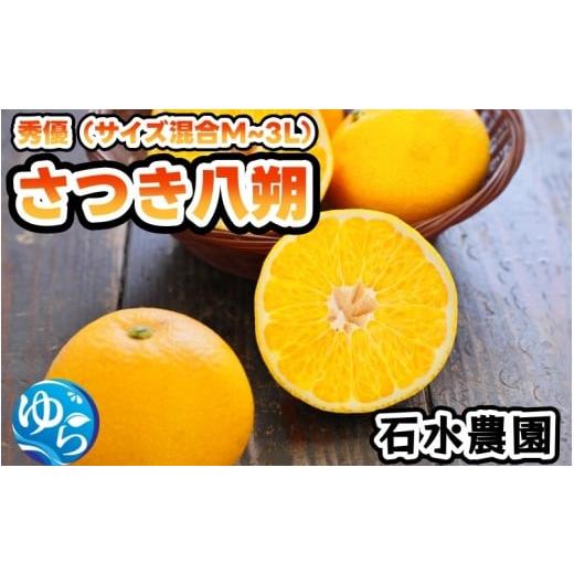 ふるさと納税 みかん・柑橘類 和歌山県 由良町 さつき八朔 10kg 2026年3月中旬頃から4月中旬発送予定 / はっさく ハッサク 柑橘 由良町 果物 フルーツ くだ…