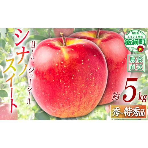 ふるさと納税 りんご 長野県 飯綱町 りんご シナノスイート 特秀 5kg 令和8年度収穫分 沖縄県への配送不可 2026年10月上旬頃から2026年10月中旬頃まで順次発送…