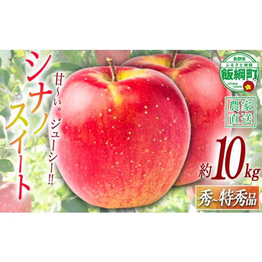 ふるさと納税 りんご 長野県 飯綱町 りんご シナノスイート 特秀 10kg 令和8年度収穫分 2026年10月上旬頃から2026年10月中旬頃まで順次発送予定 宮本ファーム …