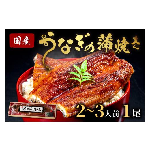 ふるさと納税 うなぎ 京都府 京丹後市 うなぎの蒲焼き2~3人前(1尾) 配送時期:父の日用6/19-21お届け ウナギ特製タレと山椒付き うなぎの蒲焼・ウナギの…