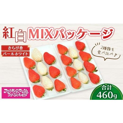 ふるさと納税 いちご 静岡県 御殿場市 甘い白イチゴ パールホワイト と 静岡品種 きらぴ香の 紅白MIXパッケージ 230g×トレー2枚 計460g | いちご 苺 果物 静…