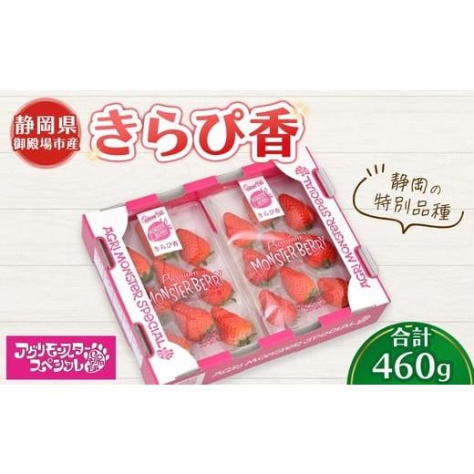 ふるさと納税 いちご 静岡県 御殿場市 きらぴ香 静岡の特別品種 230g×トレー2枚 計460g | いちご 苺 果物 静岡県 2026年1月上旬〜4月中旬頃に順次発送予定 …