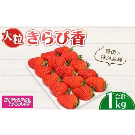 ふるさと納税 いちご 静岡県 御殿場市 大粒 きらぴ香 静岡の特別品種 500g×トレー2枚 計1kg | いちご 苺 果物 静岡県 2026年1月上旬〜4月中旬頃に順次発送予…