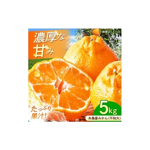 ふるさと納税 果物類 みかん 福岡県 糸島市 糸島産 不知火(みかん) Mサイズ 5kg 糸島市 / 柴田青果園 ミカン しらぬい 5キロ