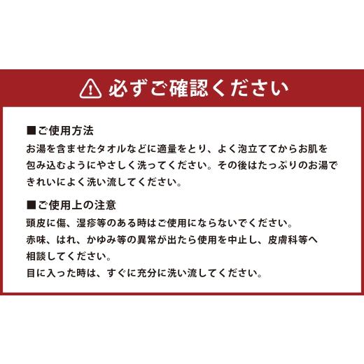 ふるさと納税 美容 北海道 蘭越町 シラカボディソーププラス 500ml 5本 国産 北海道産 シラカバ ボディソープ 美容 シャンプー 入浴 日用品 雑貨 生活雑貨 生…の画像