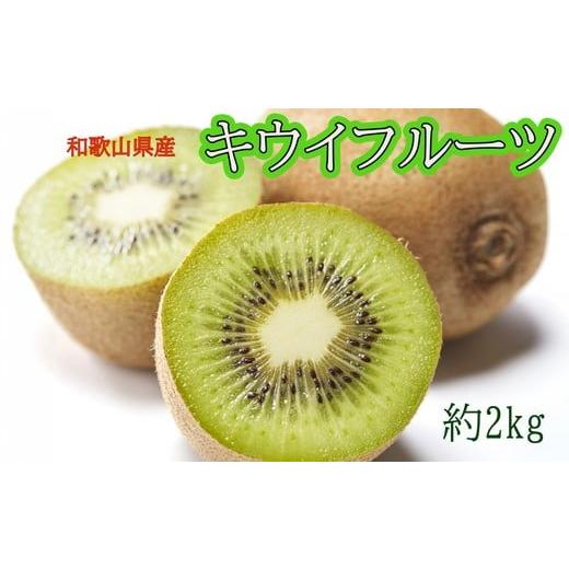 ふるさと納税 果物類 和歌山県 美浜町 先行予約 和歌山県産 キウイフルーツ 約2kg (サイズ混合)