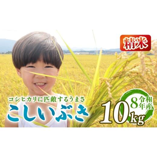 ふるさと納税 米 新潟県 新発田市 先行予約 令和8年産 こしいぶき 10kg 新潟限定 越後の新しい息吹 コシヒカリ の遺伝子を引き継ぐ 米 おこめ お米 ご飯 ごは…