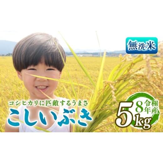ふるさと納税 無洗米 新潟県 新発田市 先行予約 令和8年産 無洗米 こしいぶき 5kg 新潟限定 越後の新しい息吹 コシヒカリ の遺伝子を引き継ぐ 米 おこめ お米…