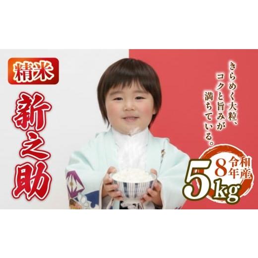 ふるさと納税 米 新潟県 新発田市 先行予約 令和8年産 新之助 5kg しんのすけ 白米 米 国産 環境こだわり おこめ お米 ご飯 ごはん オニギリ お弁当 kome 送…
