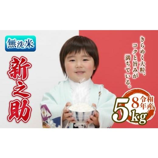 ふるさと納税 無洗米 新潟県 新発田市 先行予約 令和8年産 無洗米 新之助 5kg しんのすけ 白米 米 国産 環境こだわり おこめ お米 ご飯 ごはん オニギリ お弁…
