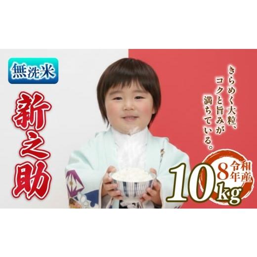 ふるさと納税 無洗米 新潟県 新発田市 先行予約 令和8年産 無洗米 新之助 10kg 5kg 2袋 しんのすけ 白米 米 国産 環境こだわり おこめ お米 ご飯 ごはん オニ…