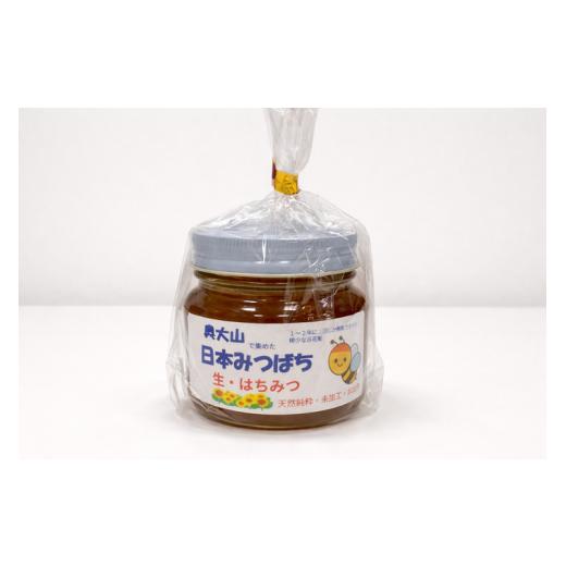 ふるさと納税 加工品等 はちみつ 鳥取県 江府町 奥大山で集めた日本ミツバチ 生はちみつ 280g 天然 純粋 非加工 非加熱 ハチミツ はちみつ 蜂蜜 1198