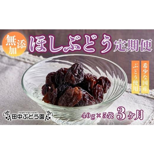 ふるさと納税 ぶどう 大阪府 河内長野市 定期便 毎月お届け3ヵ月 ほしぶどう 40g×5袋 国産 ドライフルーツ 無添加 複数品種 希少 レア 小分け 干し葡萄 干…