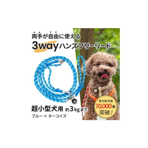ふるさと納税 雑貨・日用品 静岡県 掛川市 犬用リード 3WAYハンズフリーリード(超小型犬用)ブルー×ターコイズ ゴールデンママ 1712895