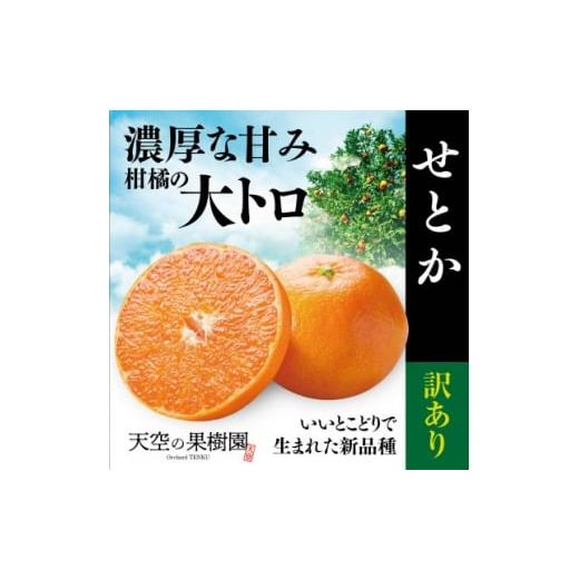 ふるさと納税 みかん・柑橘類 愛媛県 八幡浜市 天空の果樹園から届く そらせとか 訳あり (4kg) D95-9 1702031