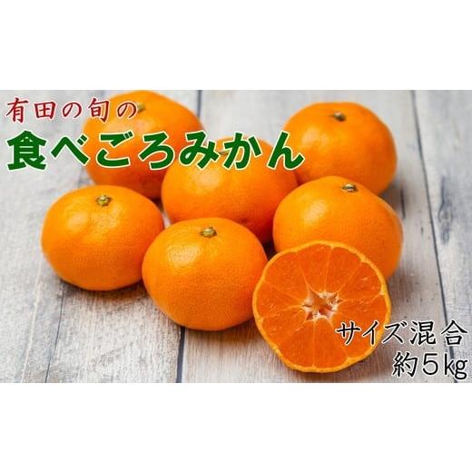 ふるさと納税 果物類 みかん 和歌山県 美浜町 先行予約 有田の旬の食べごろ みかん 約5kg(サイズ混合)