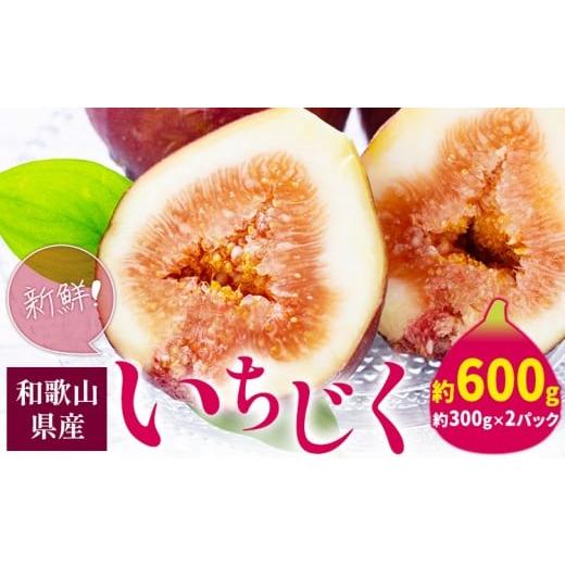 ふるさと納税 いちじく 和歌山県 紀の川市 和歌山県産 新鮮 いちじく 約 300g × 2パック 紀の川市厳選館[2026年9月上旬-11月中旬頃出荷] 和歌山県 紀の川市…