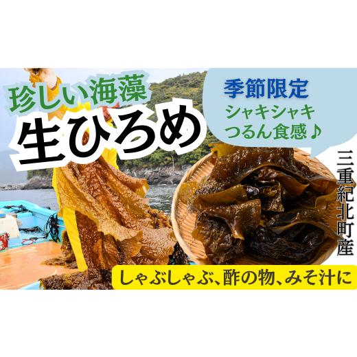 ふるさと納税 のり・海藻 三重県 紀北町 珍しい海藻ひろめ この時期にしか手に入らない 「生ひろめ 600g」