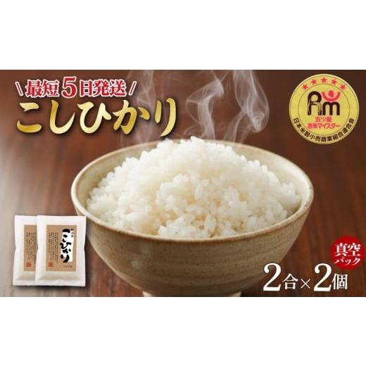 ふるさと納税 米 コシヒカリ 新潟県 新発田市 最短5日発送 新潟県産 こしひかり お試し 2合×2個 真空パック 令和7年度産 米 おこめ お米 白米 こめ ライス r…